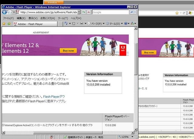 Adobe Flash Player 13.0.0.206 のテスト。