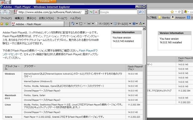 Adobe Flash Player 14.0.0.145 のテスト。